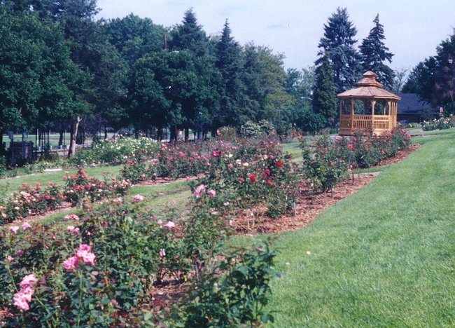 'Renziehausen Park Arboretum Rose Garden'  photo