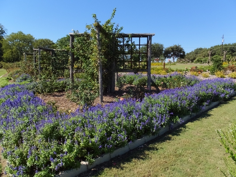 'National EarthKind Trial Rose Garden and Display Gardens'  photo