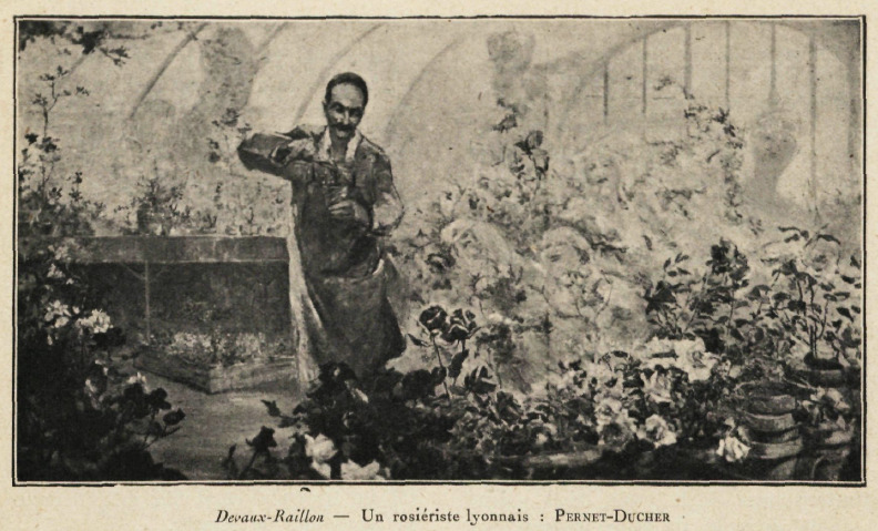 'Pernet-Ducher, Joseph'  photo