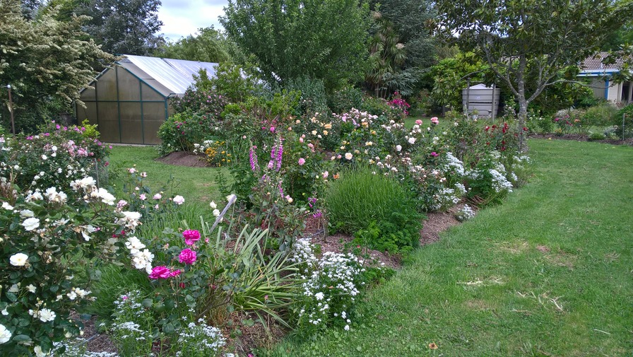 'Peter Ades' Garden'  photo