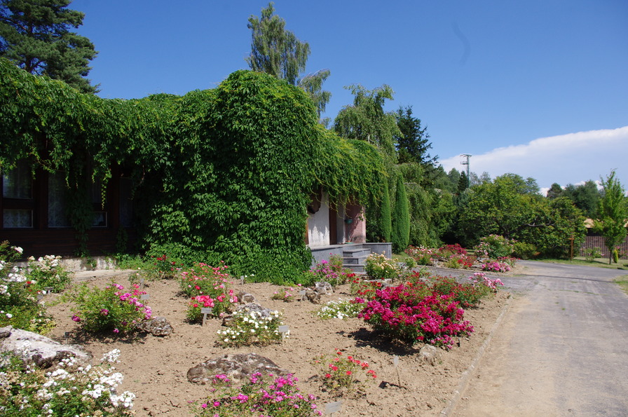 'Arboretum Borova hora - Rosarium'  photo