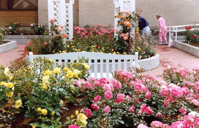 'Centennial Rose Garden'  photo