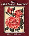 'The Old Rose Advisor'  photo