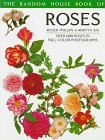 'Roses (Phillips & Rix)'  photo