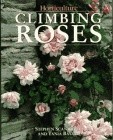 'Climbing Roses (Scanniello & Bayard)'  photo
