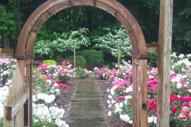 'Gardens at Wyckoff Rose Garden'  photo