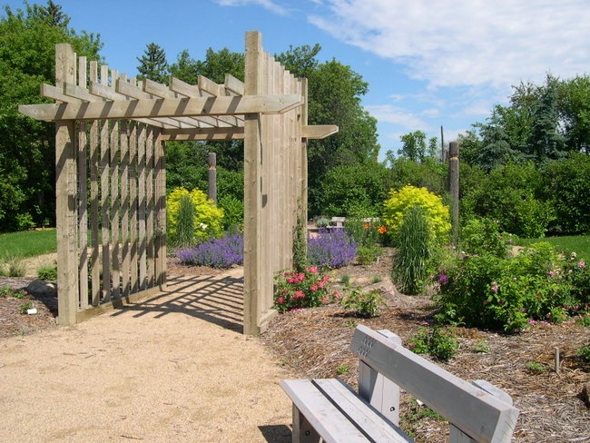 'The Heritage Rose Garden'  photo