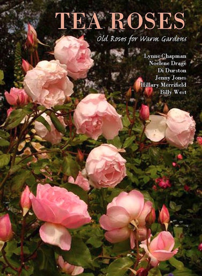 'Tea Roses: Old Roses For Warm Gardens'  photo