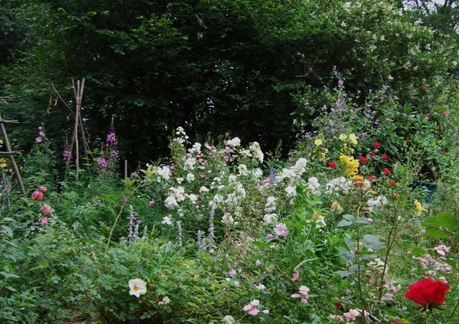 'Jardin de l'ours(the baer garden)'  photo