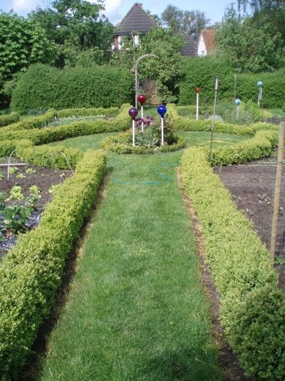 'My Garden'  photo