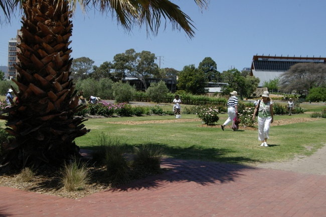 'Adelaide Botanic Gardens'  photo