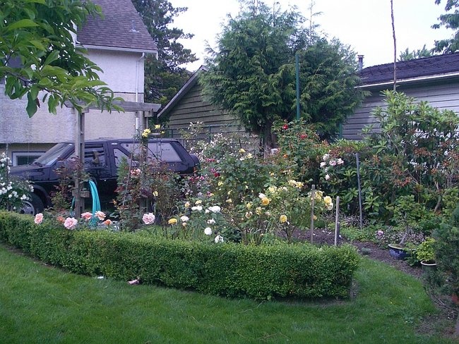 'Holmes Garden'  photo