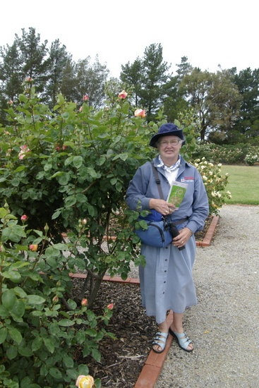 'Rae Dungan' rose photo