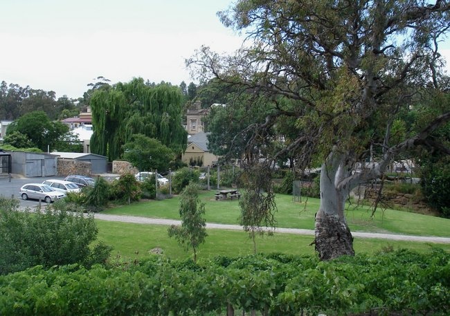 'Barossa Old Rose Repository'  photo