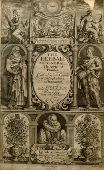 'The Herball or Generall Historie of Plantes (1636 ed.)'  photo