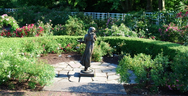 'Cranford Rose Garden'  photo