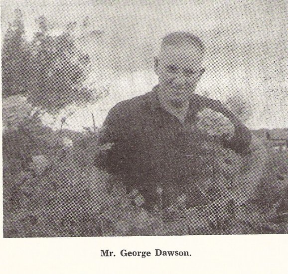 'Dawson (1904-1991), George'  photo