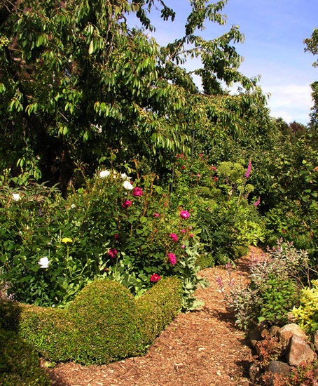 'Karin's Garden'  photo