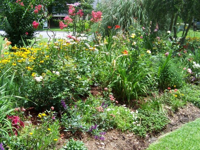 'Kona's garden'  photo