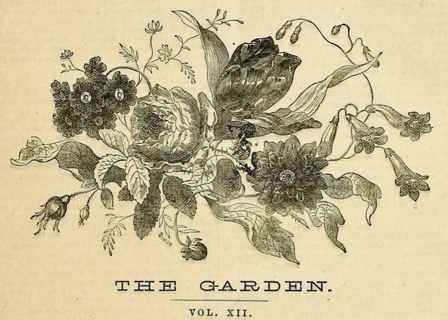 'The Garden: An Illustrated Weekly Journal of Horticulture in All its Branches'  photo