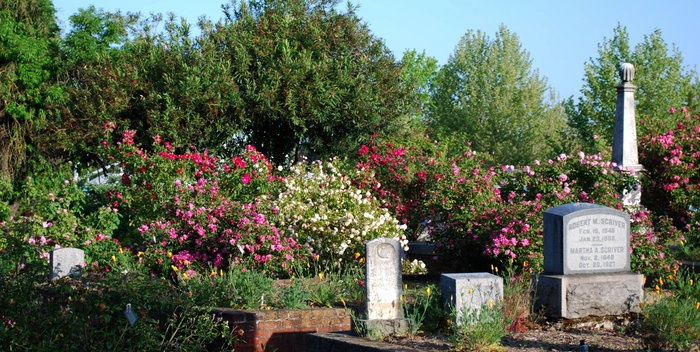 'Former Sacramento Historic Rose Garden'  photo