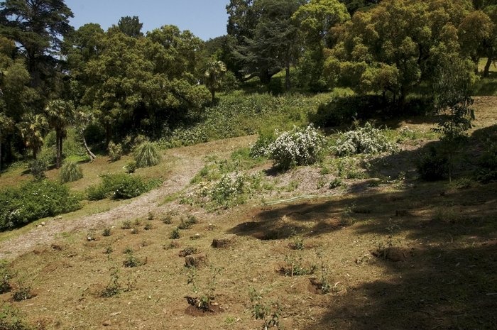 'Monserrate'  photo