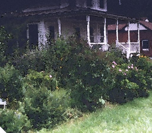 'Azalea House Flowering Shrub Farm'  photo