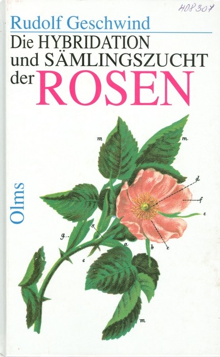 'Die Hybridation und Sämlingszucht der Rosen, 2.ed.'  photo