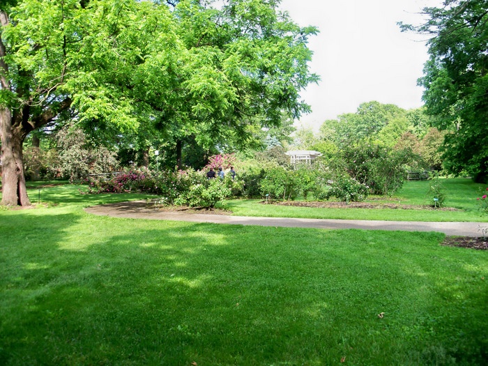 'Columbus Park of Roses'  photo