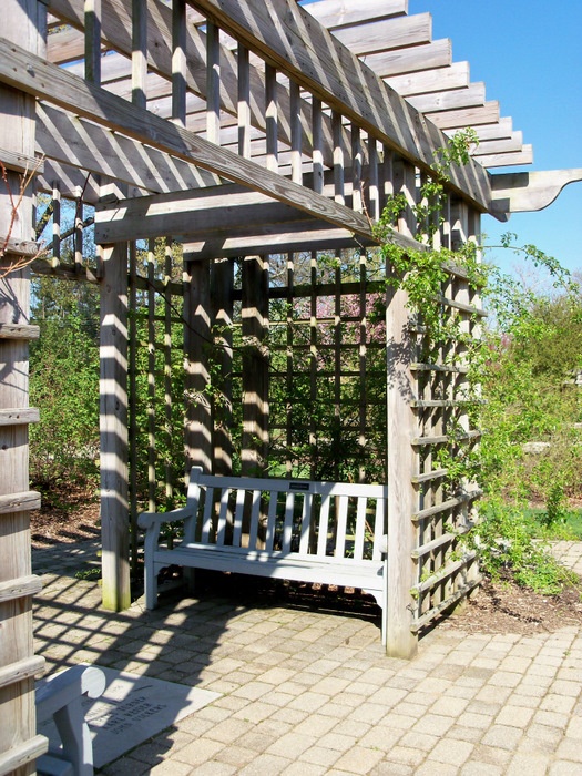 'Columbus Park of Roses'  photo