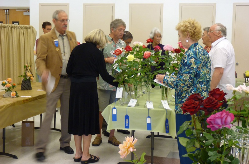 'Desert Rose Society Annual Fall Show'  photo