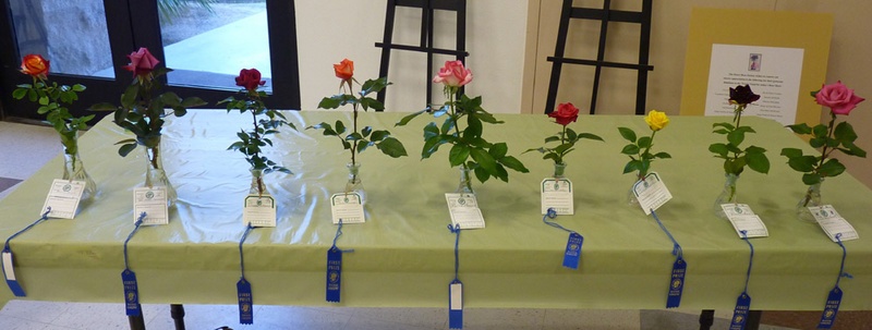 'Desert Rose Society Annual Fall Show'  photo