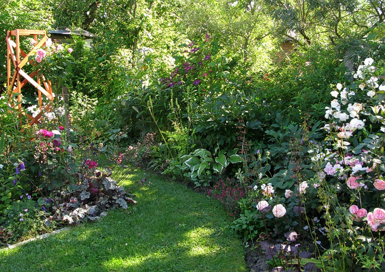 'Belarusian Garden'  photo