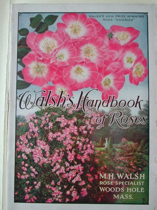 'Walsh's Handbook of Roses'  photo