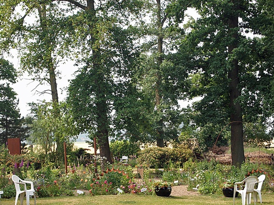 '16-Eichen Rosenschätze Garten'  photo