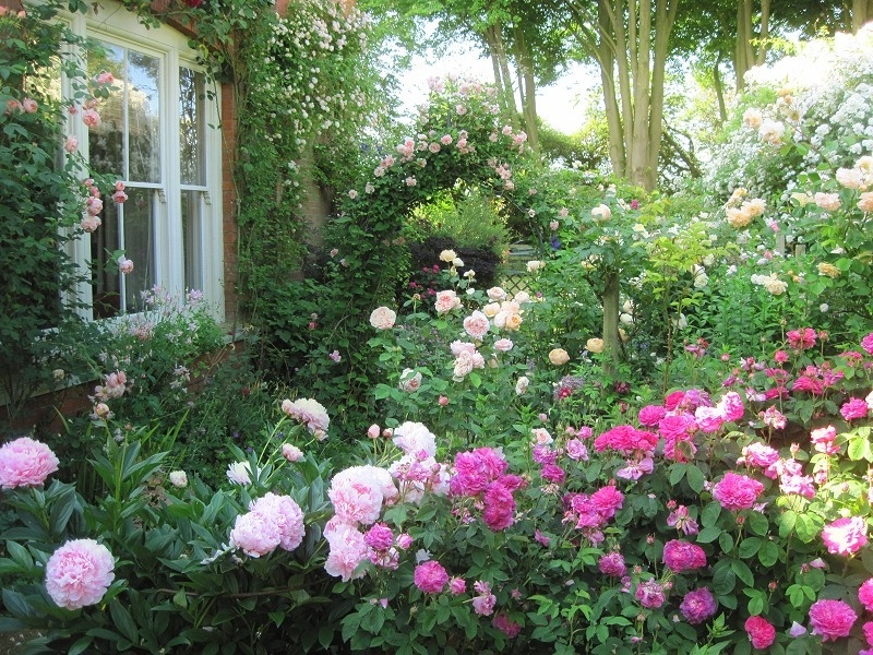 'A Wessex Garden'  photo