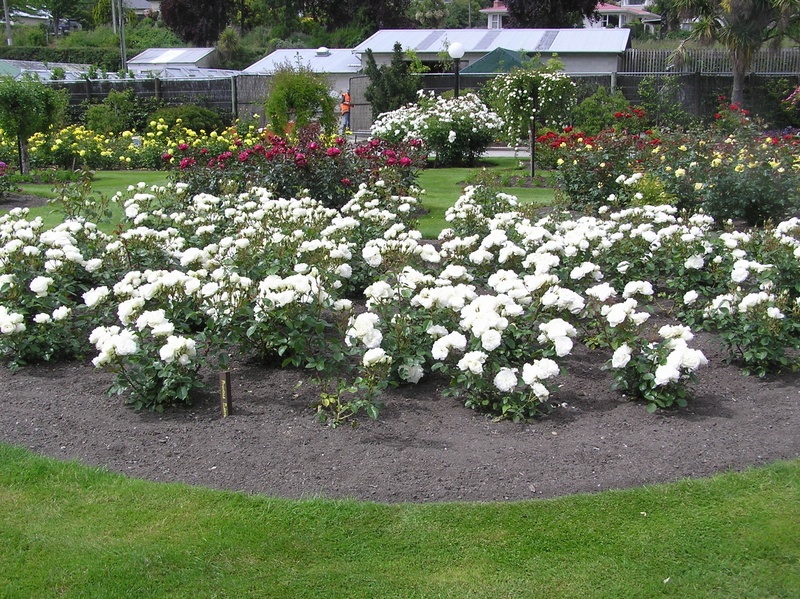 'Oamaru Public Gardens'  photo