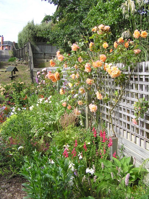 'Tomartyr's Garden'  photo