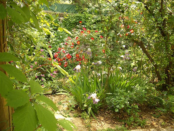 'Margrant Garden'  photo