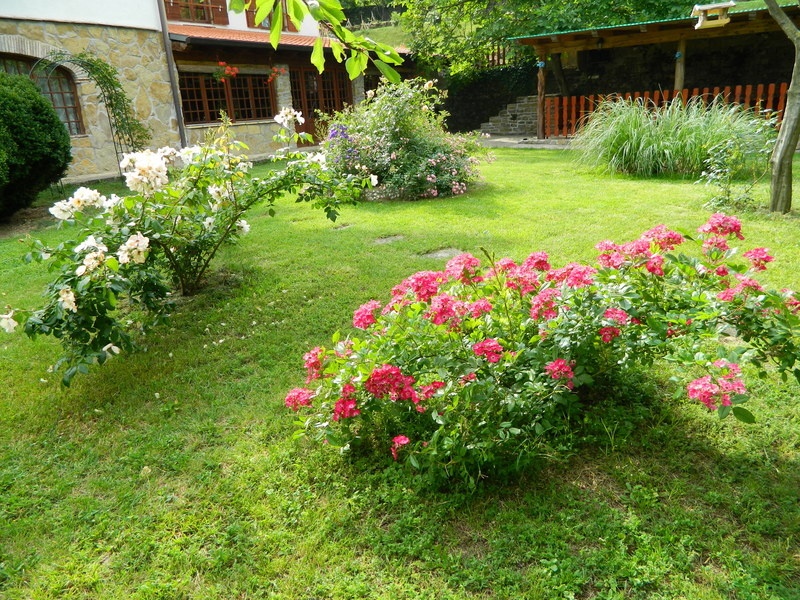 'Poesie garden'  photo