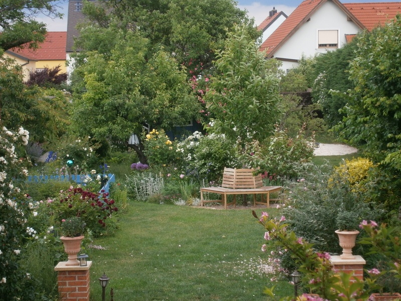 'Pannonian Garden'  photo
