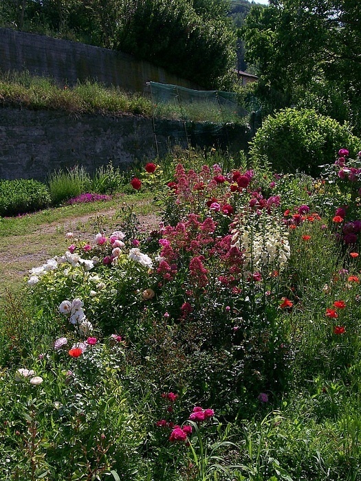 'Il Giardino dei Pigri (The Garden for the Lazy)'  photo