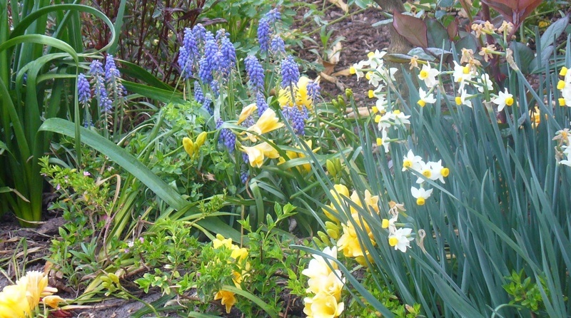 'Ma'ayan's Eden'  photo