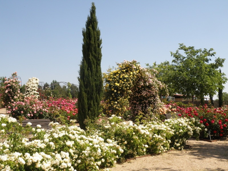 'University of Alcalá Botanical Garden'  photo
