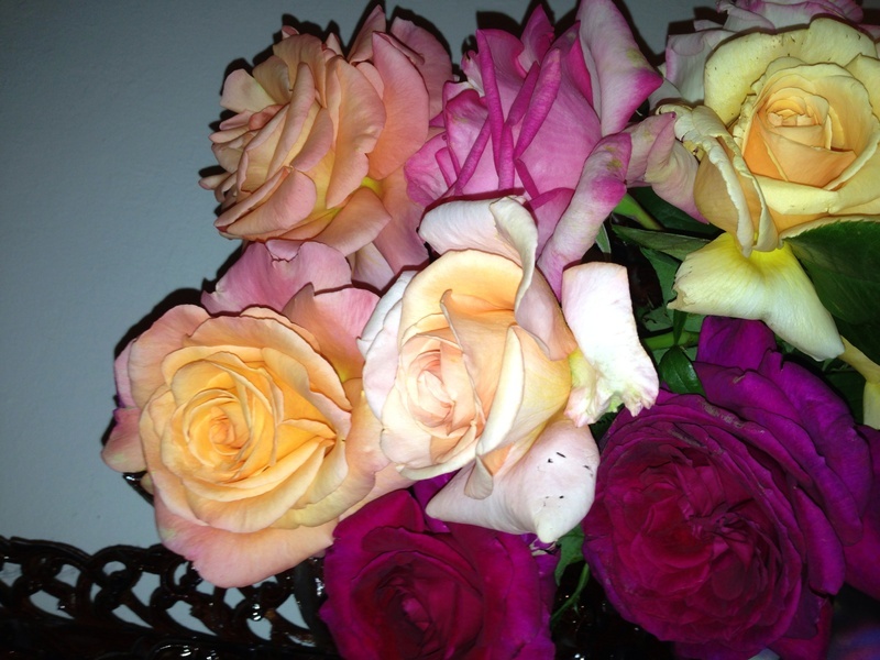 'Mak Roses Collection'  photo
