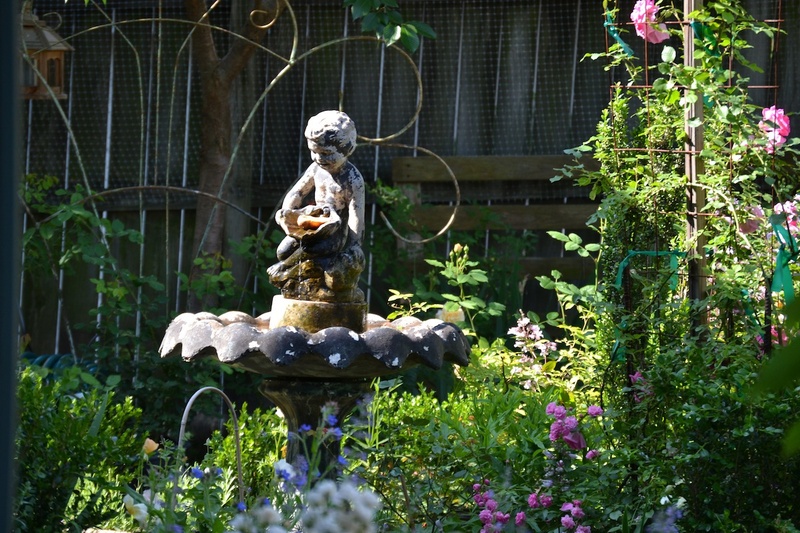 'Susu's garden'  photo
