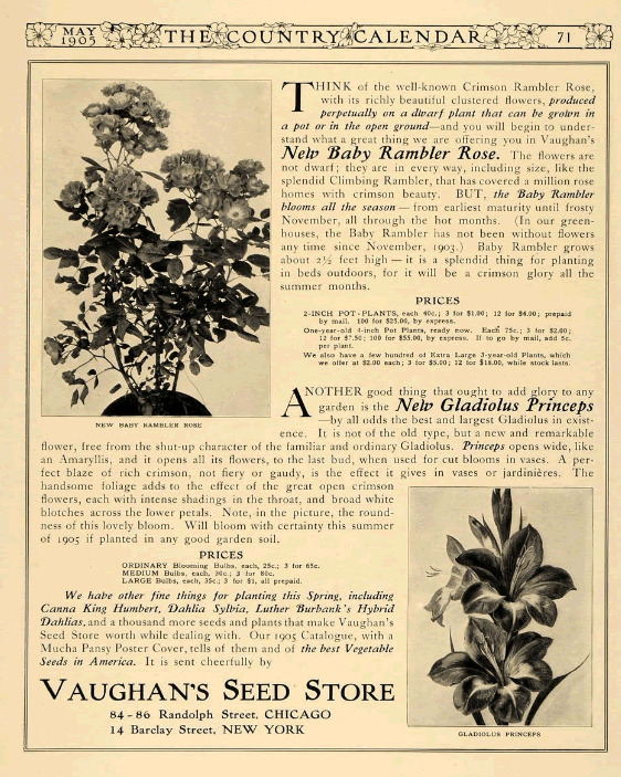 'Vaughan's Seed Store'  photo