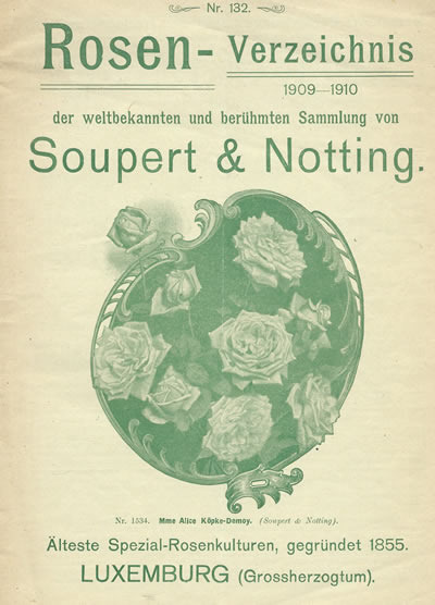 'Soupert & Notting Rosen-Verzeichnis 1909-1910, Nr. 132'  photo