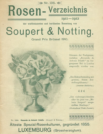 'Soupert & Notting Rosen-Verzeichnis 1911-1912, Nr. 136'  photo