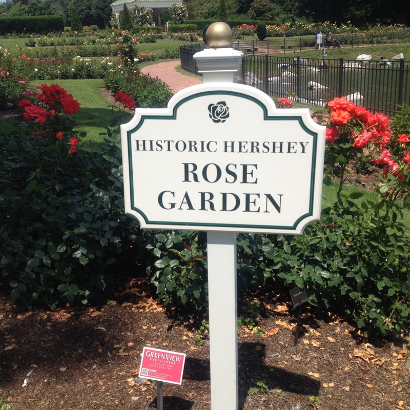 'Hershey Rose Garden'  photo